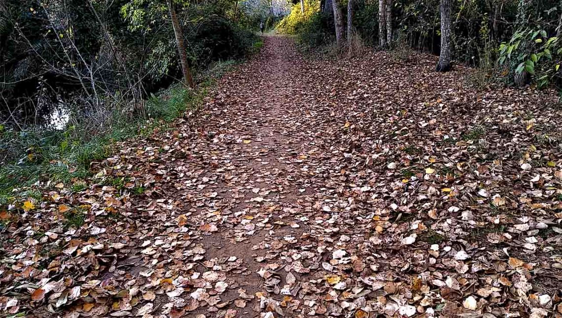 Pacchetto d’autunno del semestre europeo: competitività, occupazione, competenze