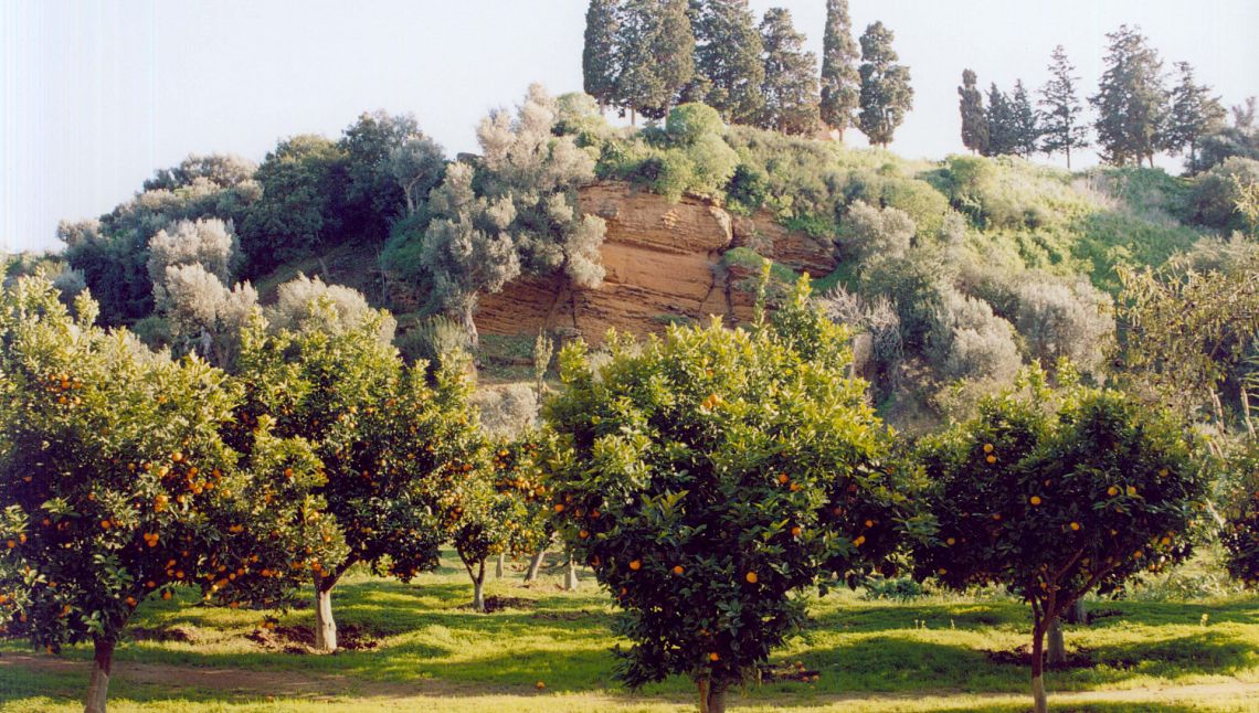 Buone pratiche: il Fai riscopre il giardino della Kolymbethra, tra storia e biodiversità
