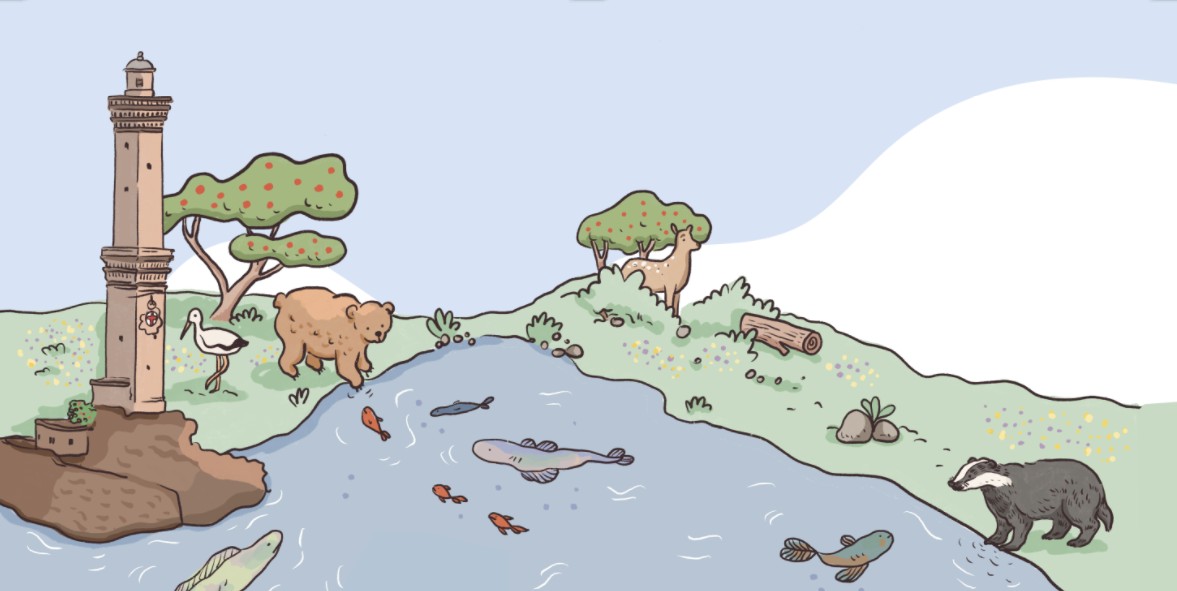 IL DOCUMENTO. ASviS: Nature restoration law occasione storica per rigenerare la natura in Italia