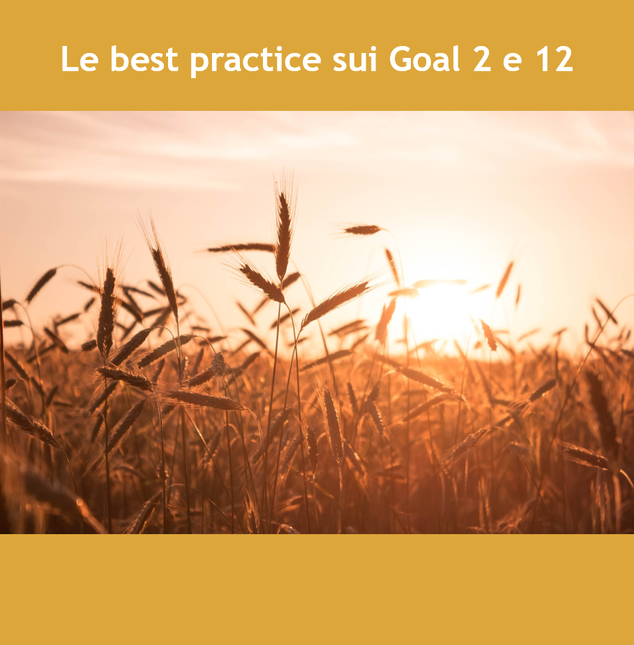 Le best practice sui Goal 2 e 12