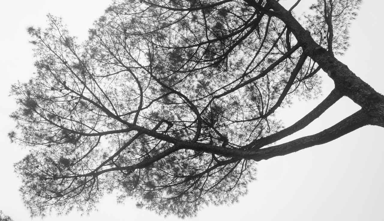 RUBRICA UE. Conseguire gli obiettivi ambientali europei semplificando le regole