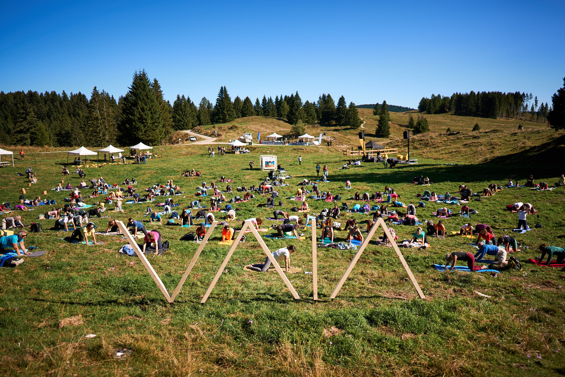 BUONE PRATICHE. Tempesta Vaia: come passare dall’emergenza a un modello rigenerativo