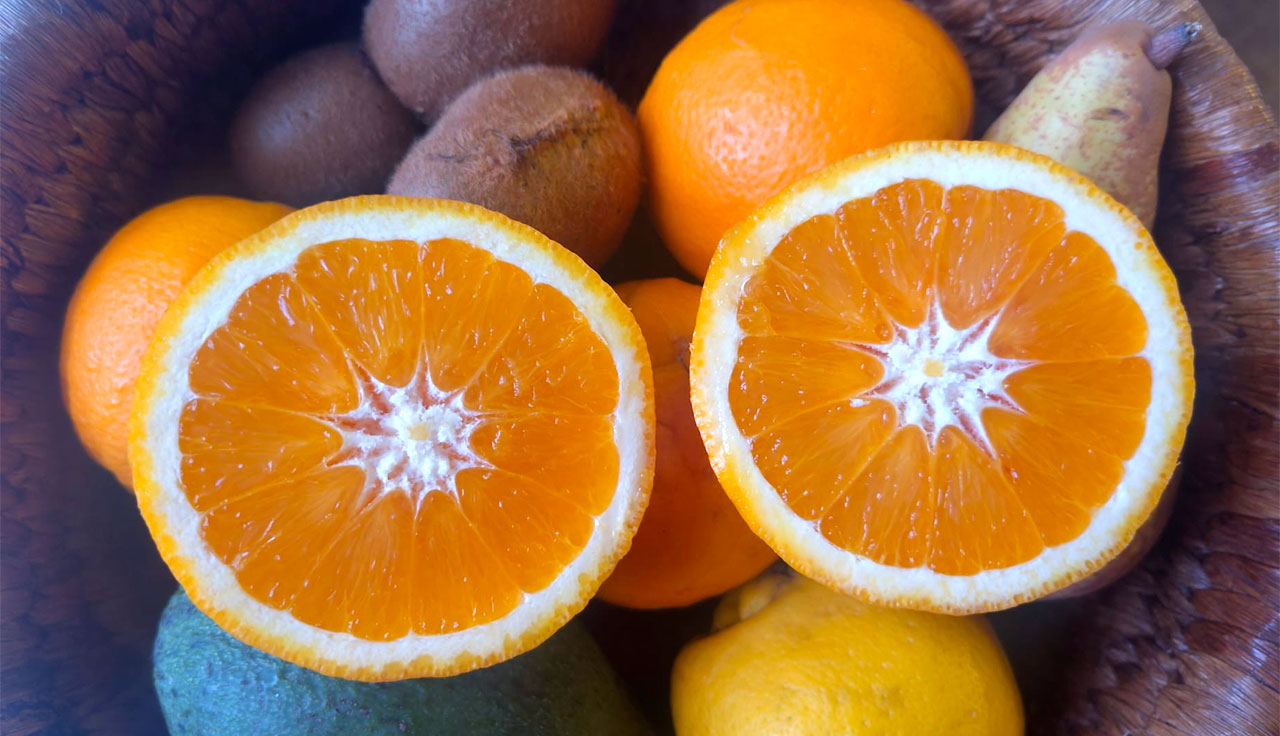 Rubrica: Europa e Agenda 2030. Aggiornamento del codice europeo contro il cancro