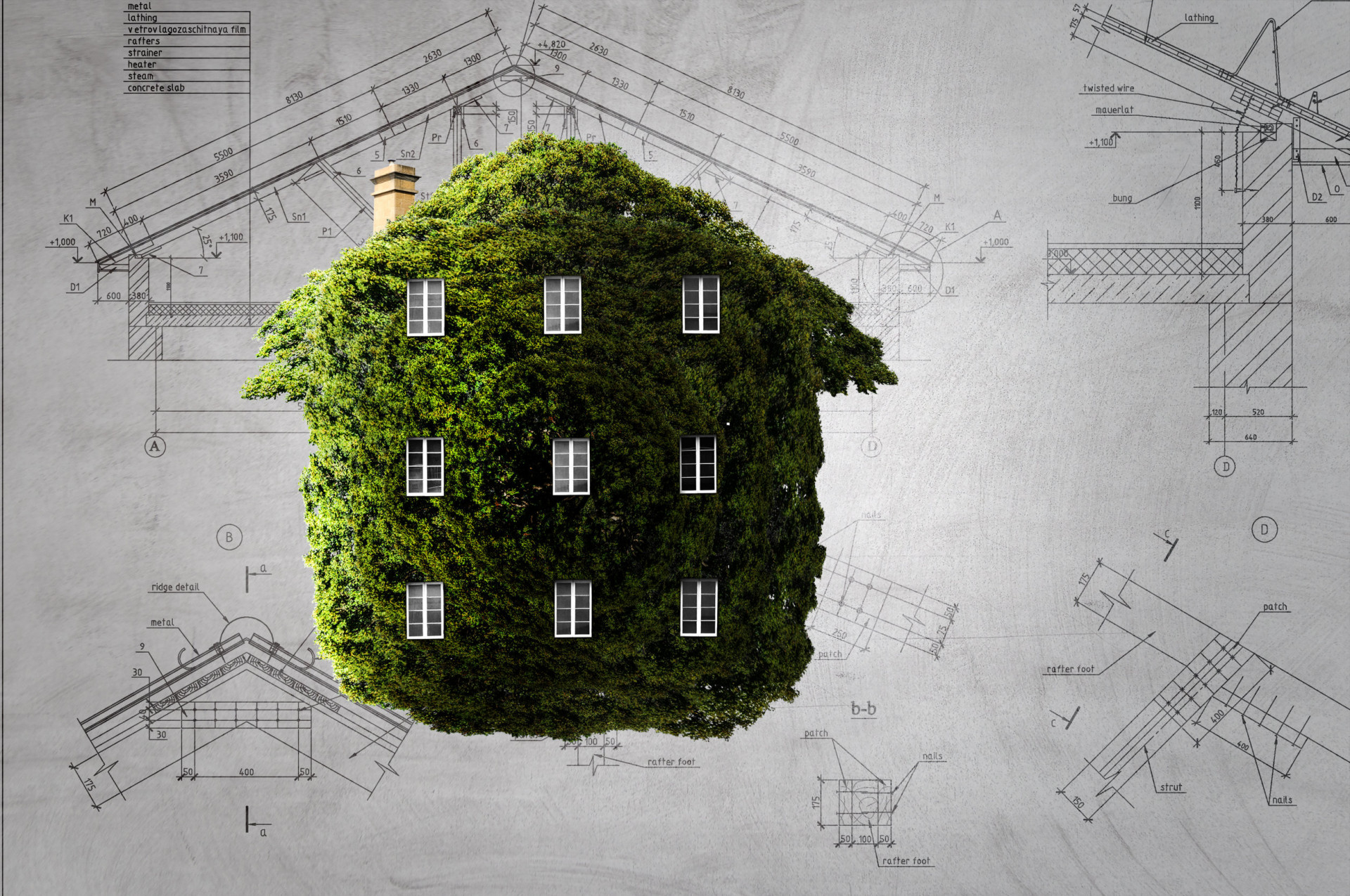 Web series “Architutto…In green”, perché un settore che non comunica al grande pubblico è un settore miope Web series “Architutto…In green”
