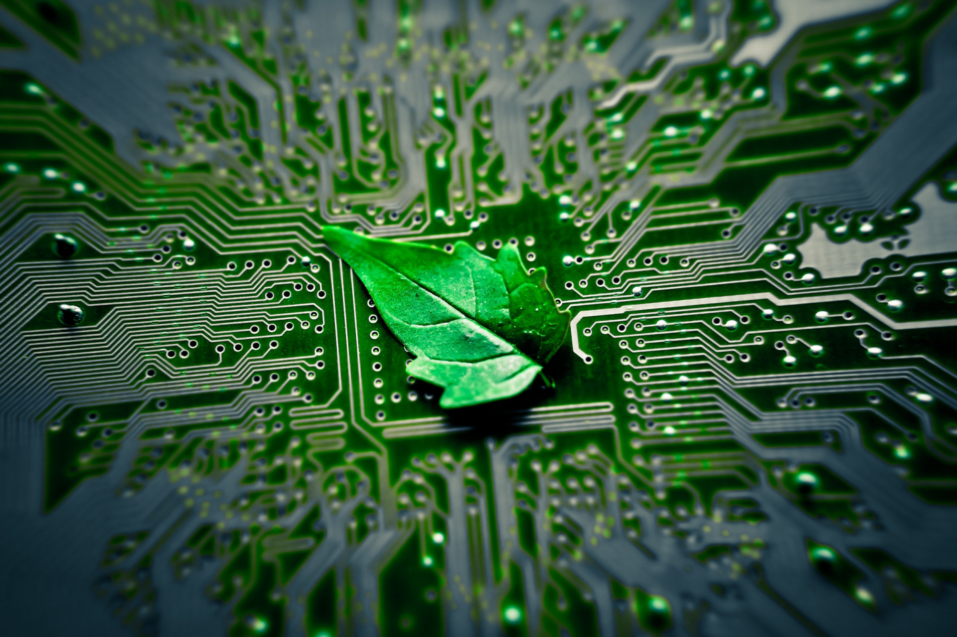 Sviluppo sostenibile: ecco come le tecnologie possono fare la differenza