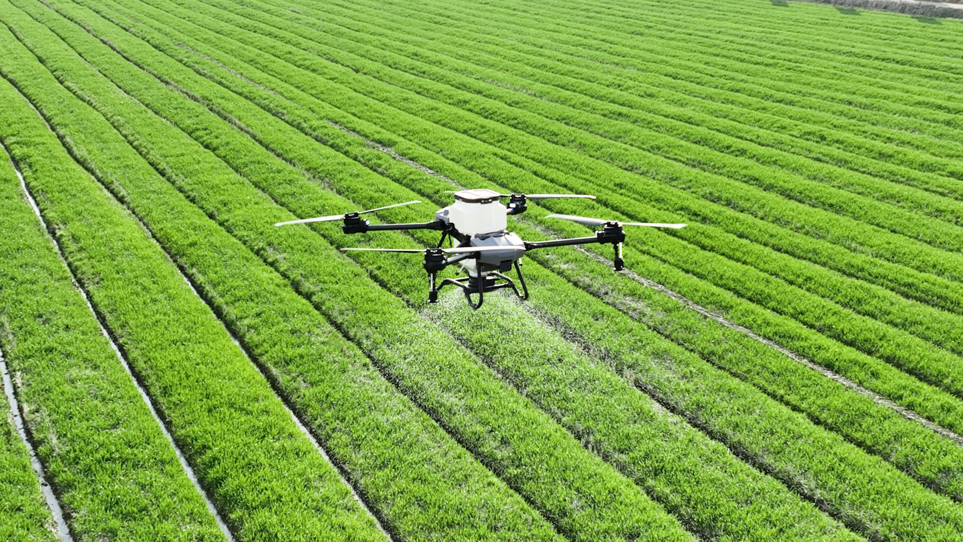 Foodtech italiano: investimenti in calo