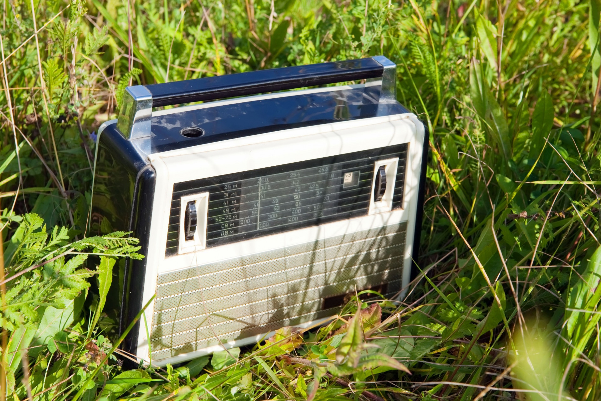 ASviS insieme a “Io, Chiara e il green” su Rai Isoradio per diffondere la cultura della sostenibilità ASviS insieme a “Io