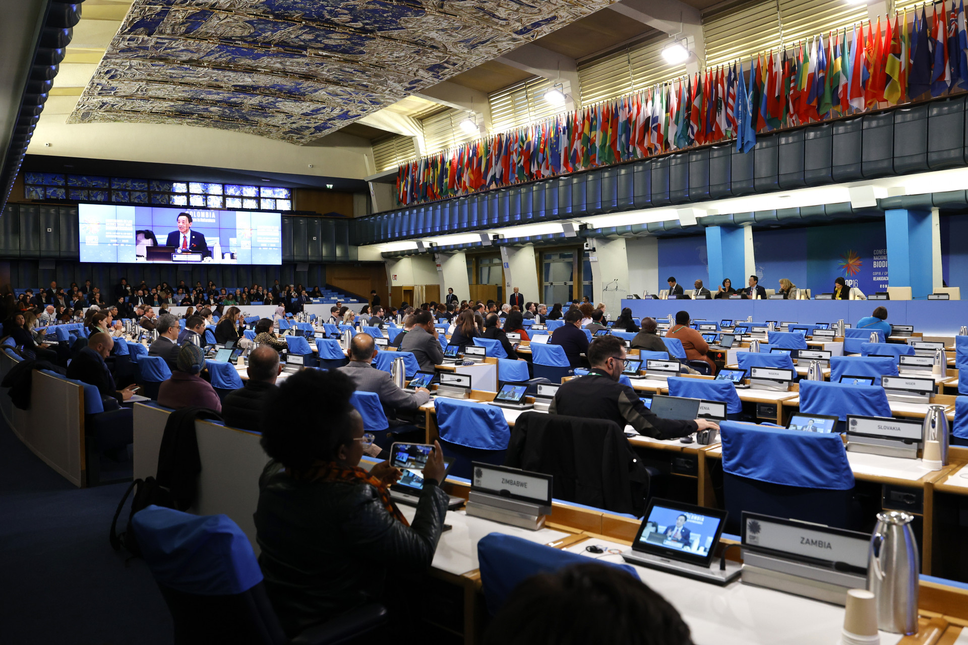 Cop 16: definita a Roma la strategia per finanziare la protezione della biodiversità