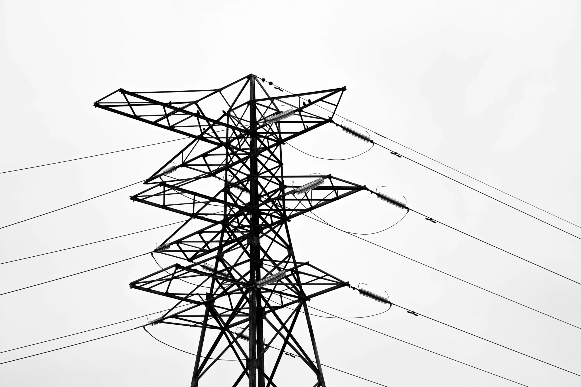 Domanda di elettricità in forte crescita: rinnovabili pronte a superare il carbone