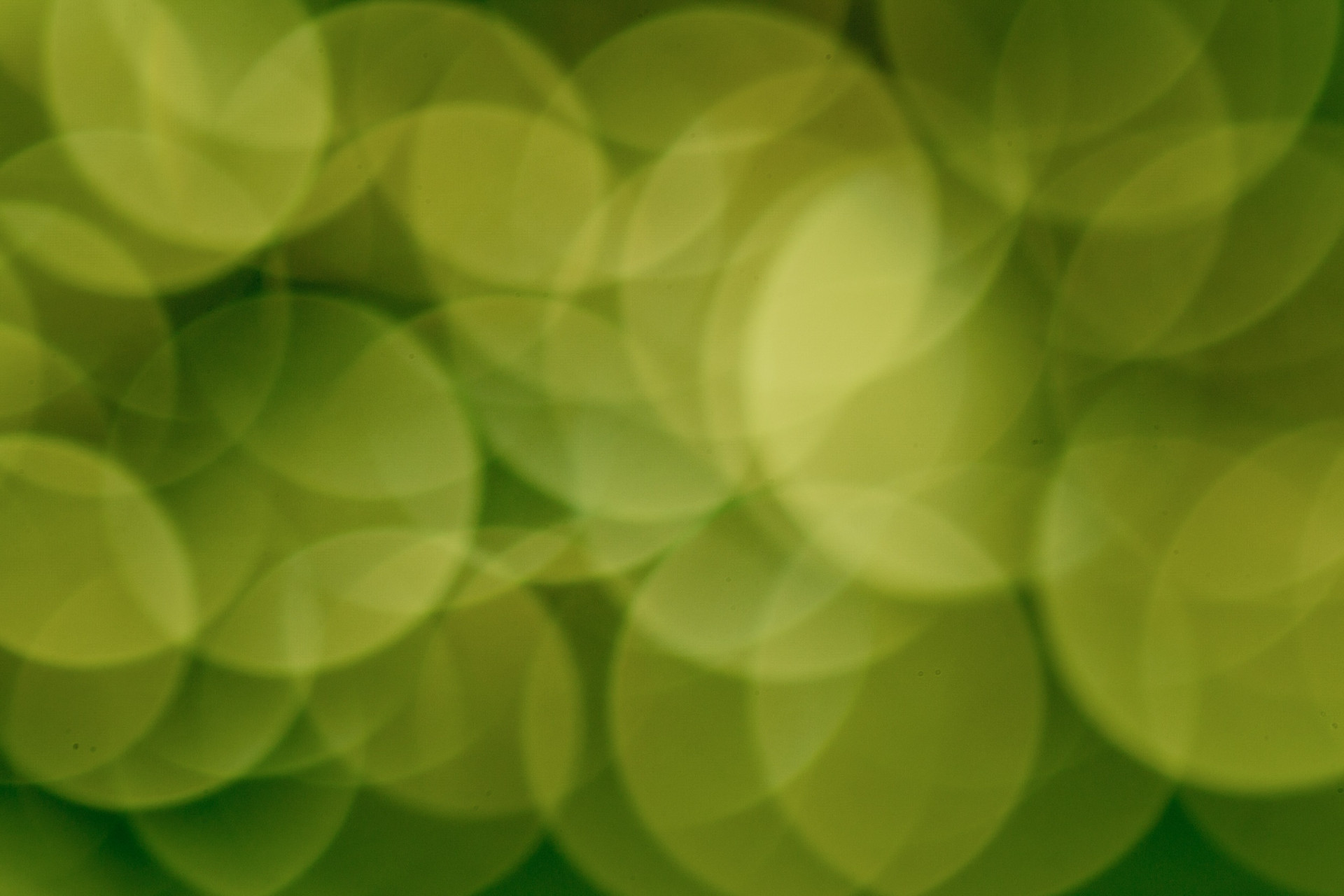 GreenItaly 2024: l’Italia tra i leader europei nell’economia verde GreenItaly 2024: l’Italia tra i leader europei nell’economia verde