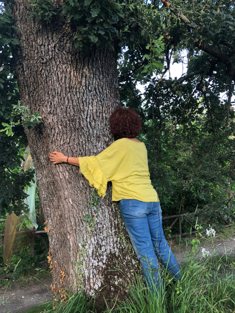 Webinar sulla medicina forestale - di Aimef