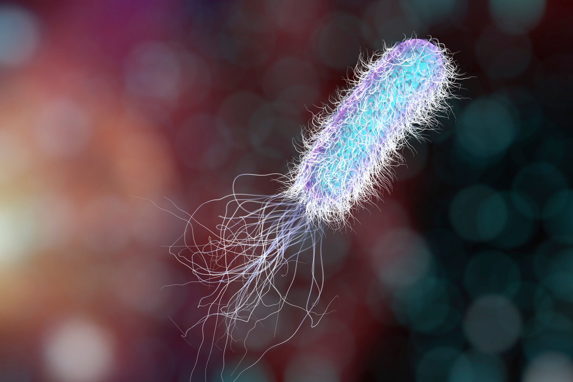 Antibiotico-resistenza: entro il 2050 potrebbe uccidere come il cancro
