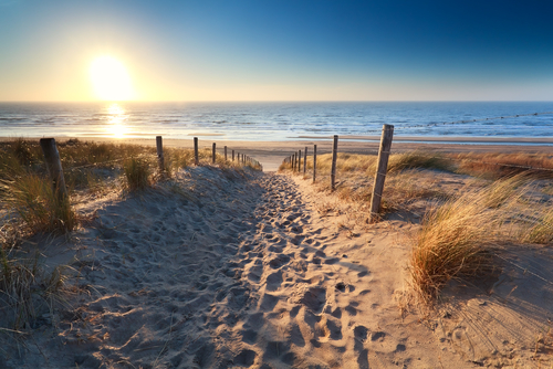 Beach Assessment