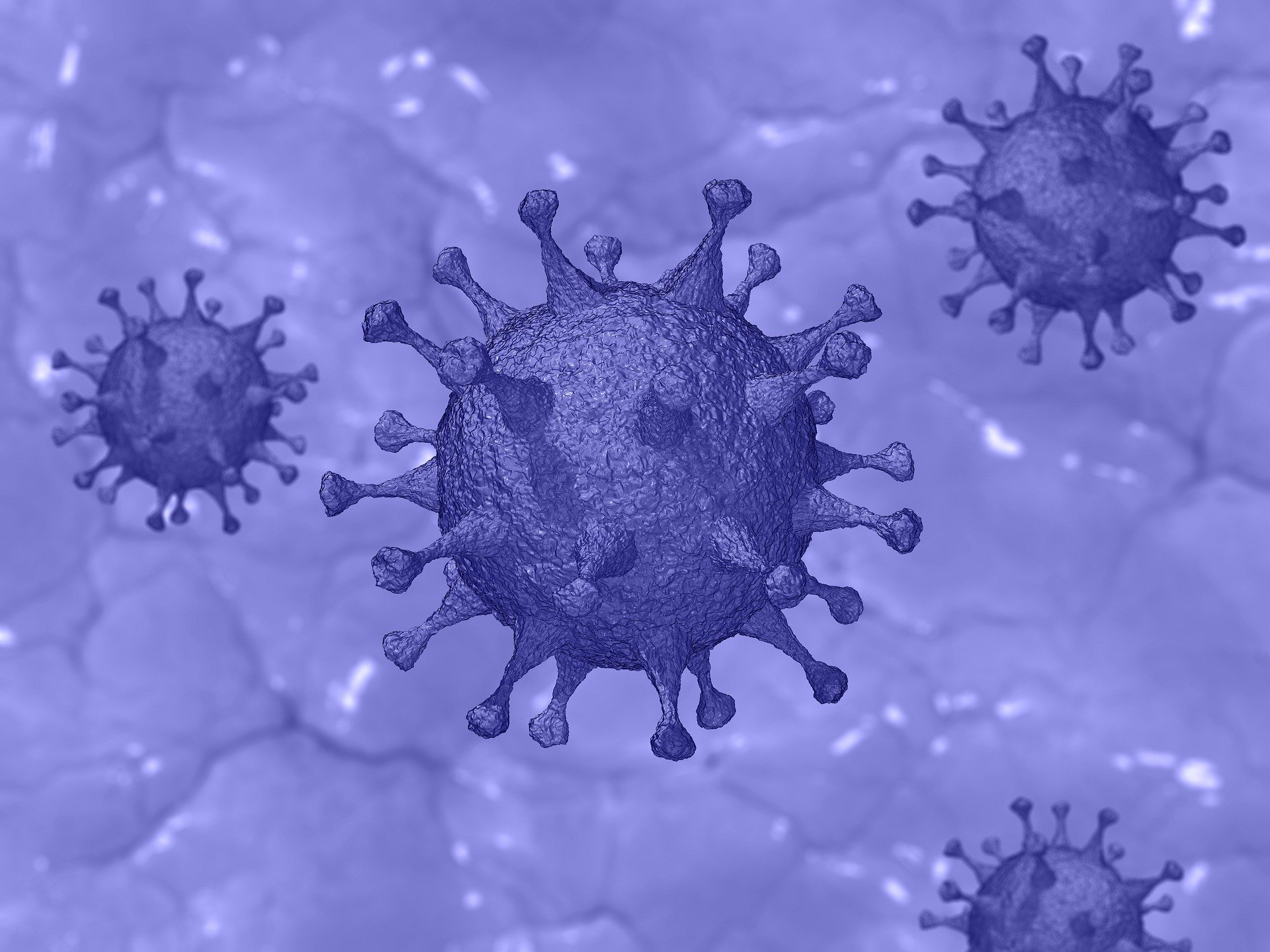 L’impatto dell’epidemia sulla mortalità: il Rapporto Istat-Iss