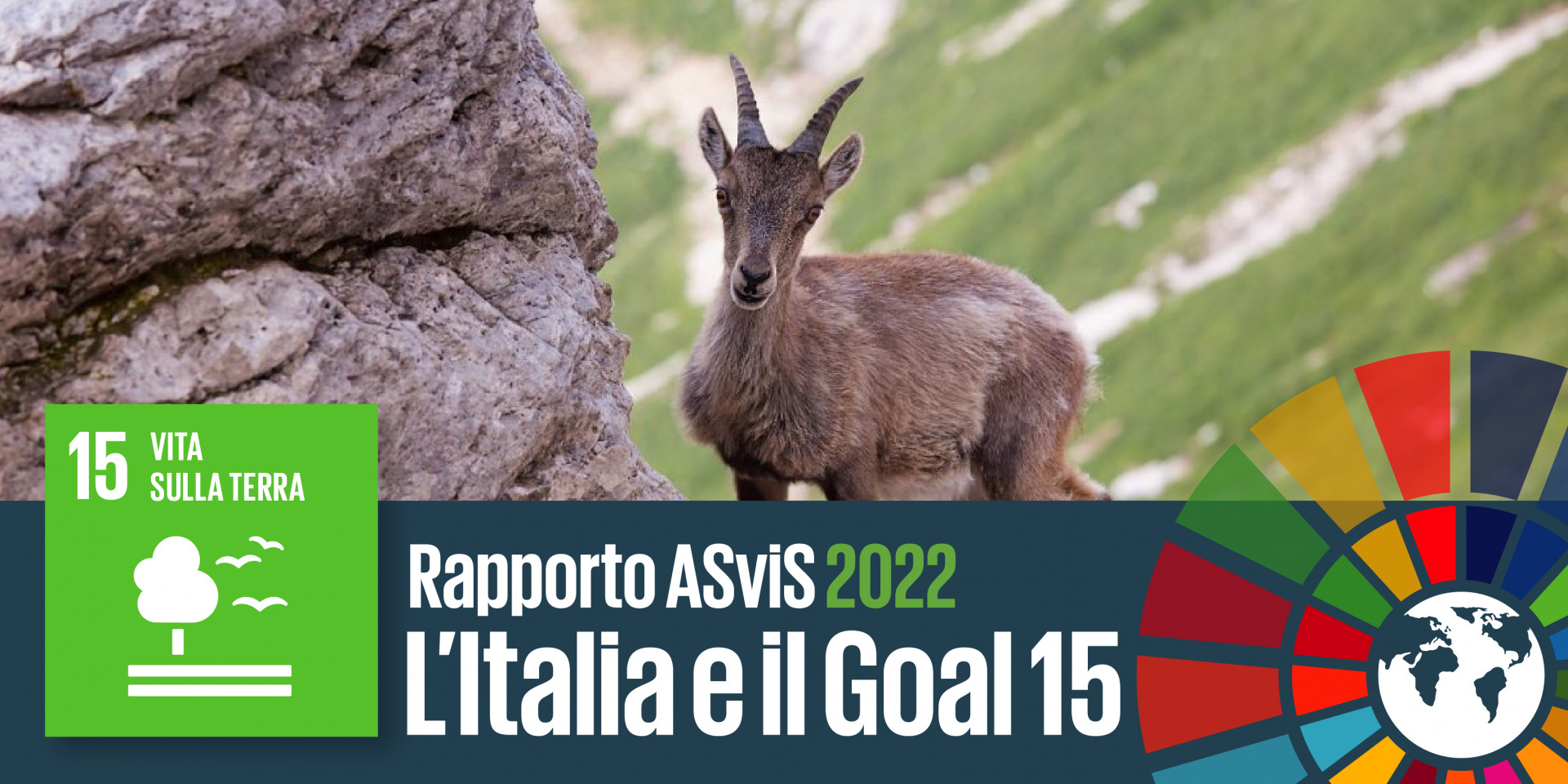 L’Italia e il Goal 15: biodiversità in declino