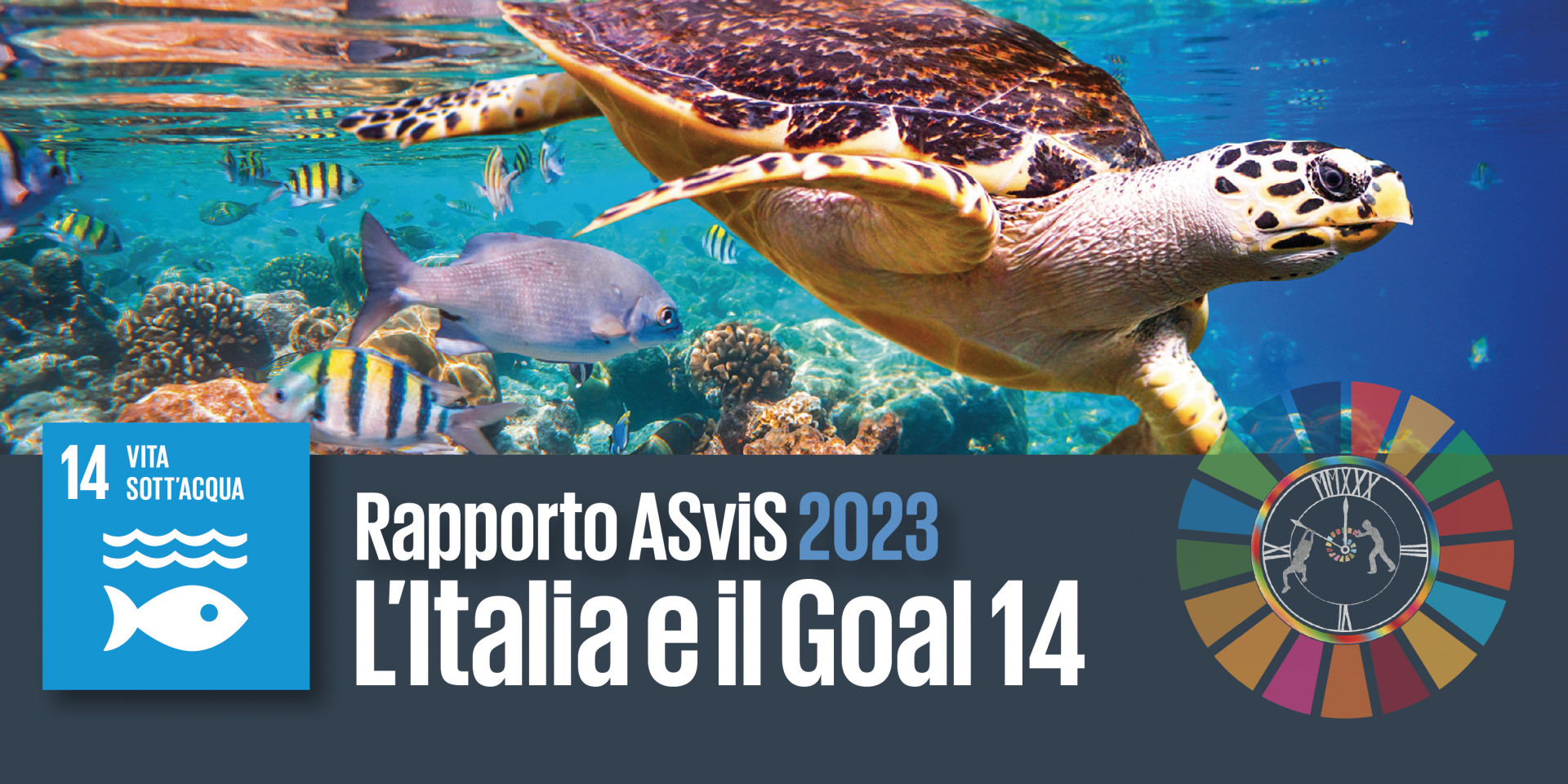 Goal 14 "Vita sott'acqua" L’Italia e il Goal 14: l’80
