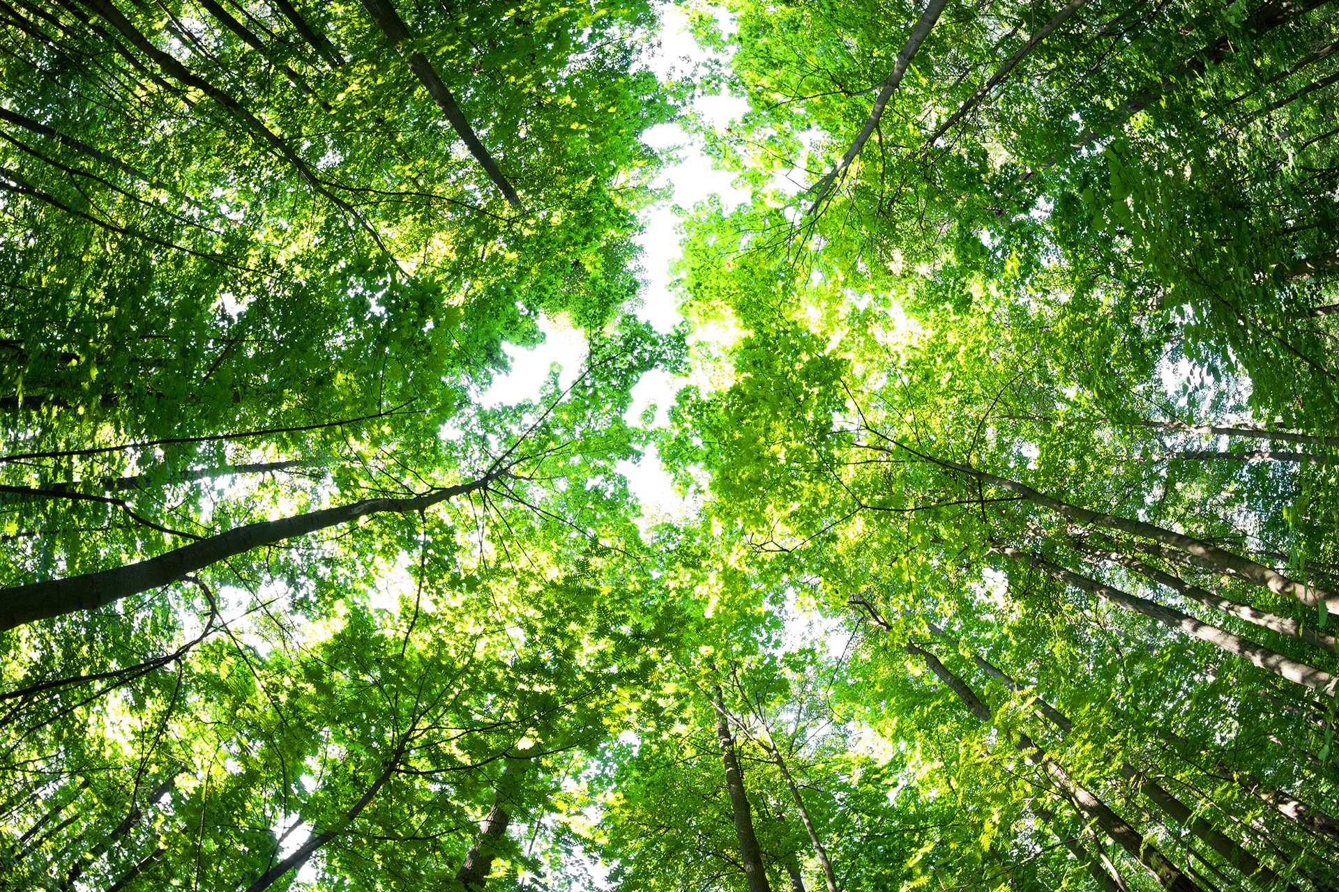 Al via il Master executive in Eco-social welfare
