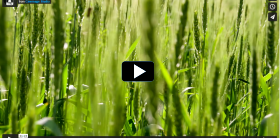 Trailer docuserie "Today for tomorrow"