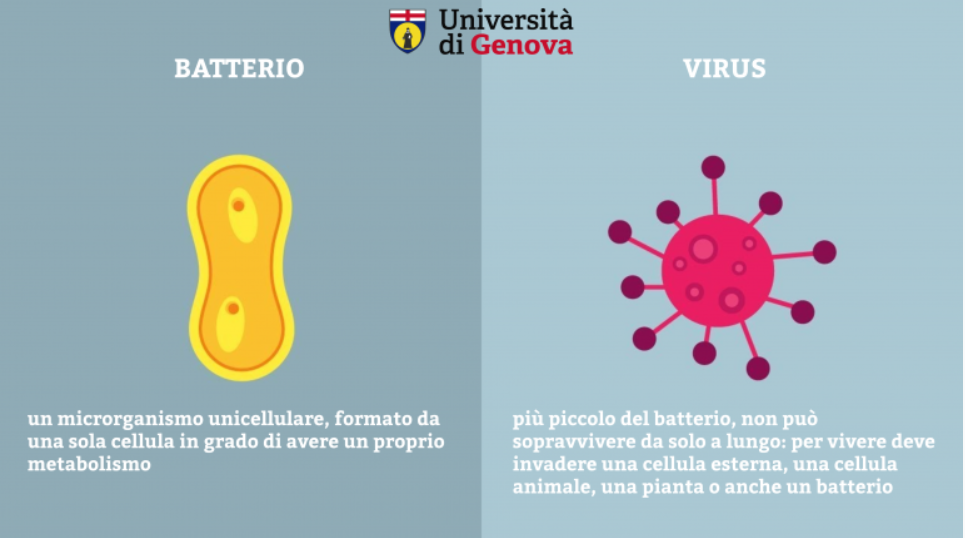 Produzione di gel disinfettante - dell'università di Genova
