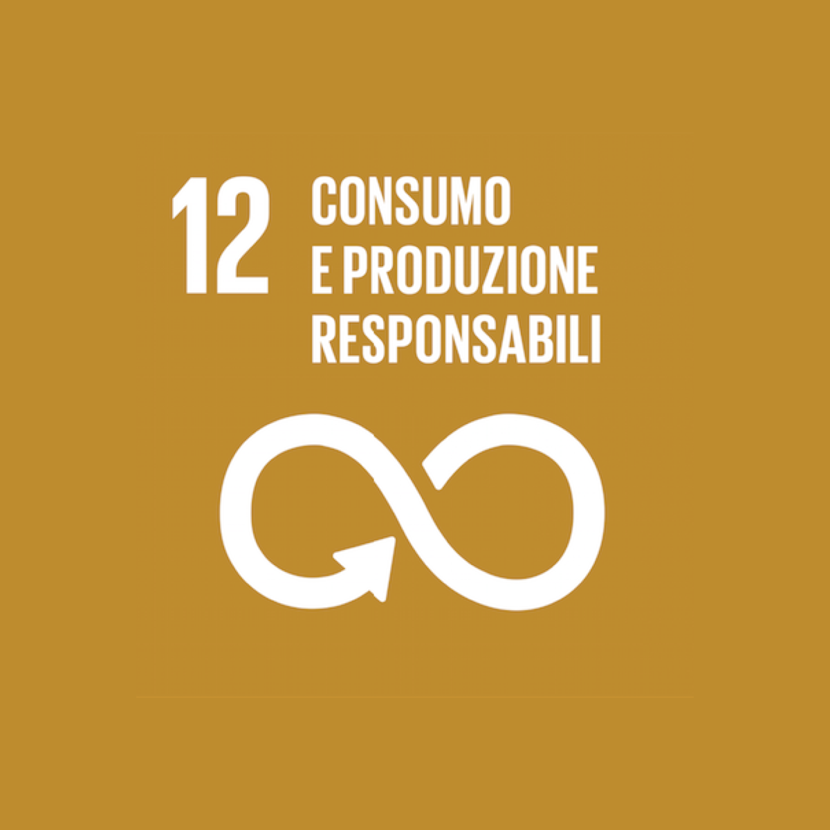 Goal 12