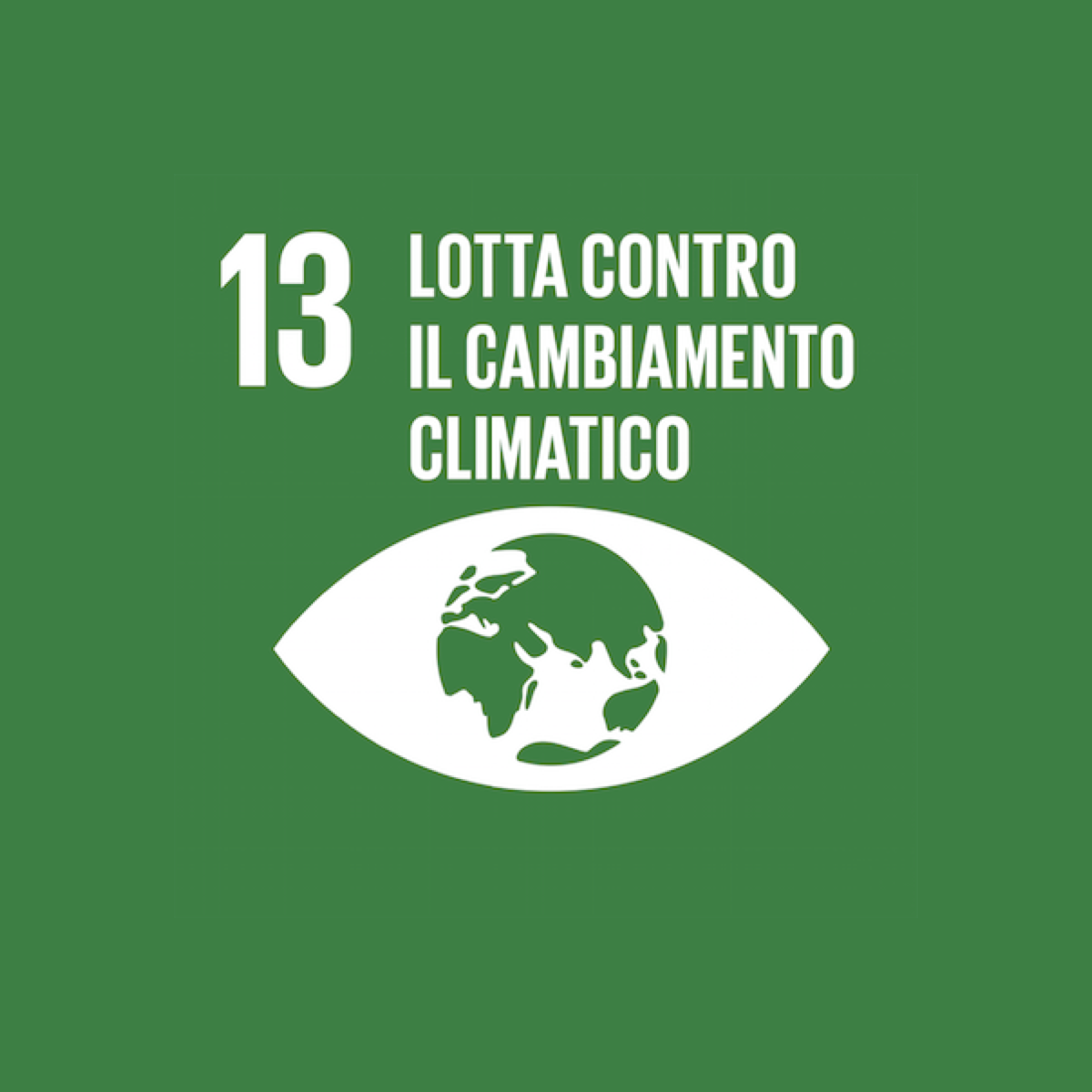 Goal 13
