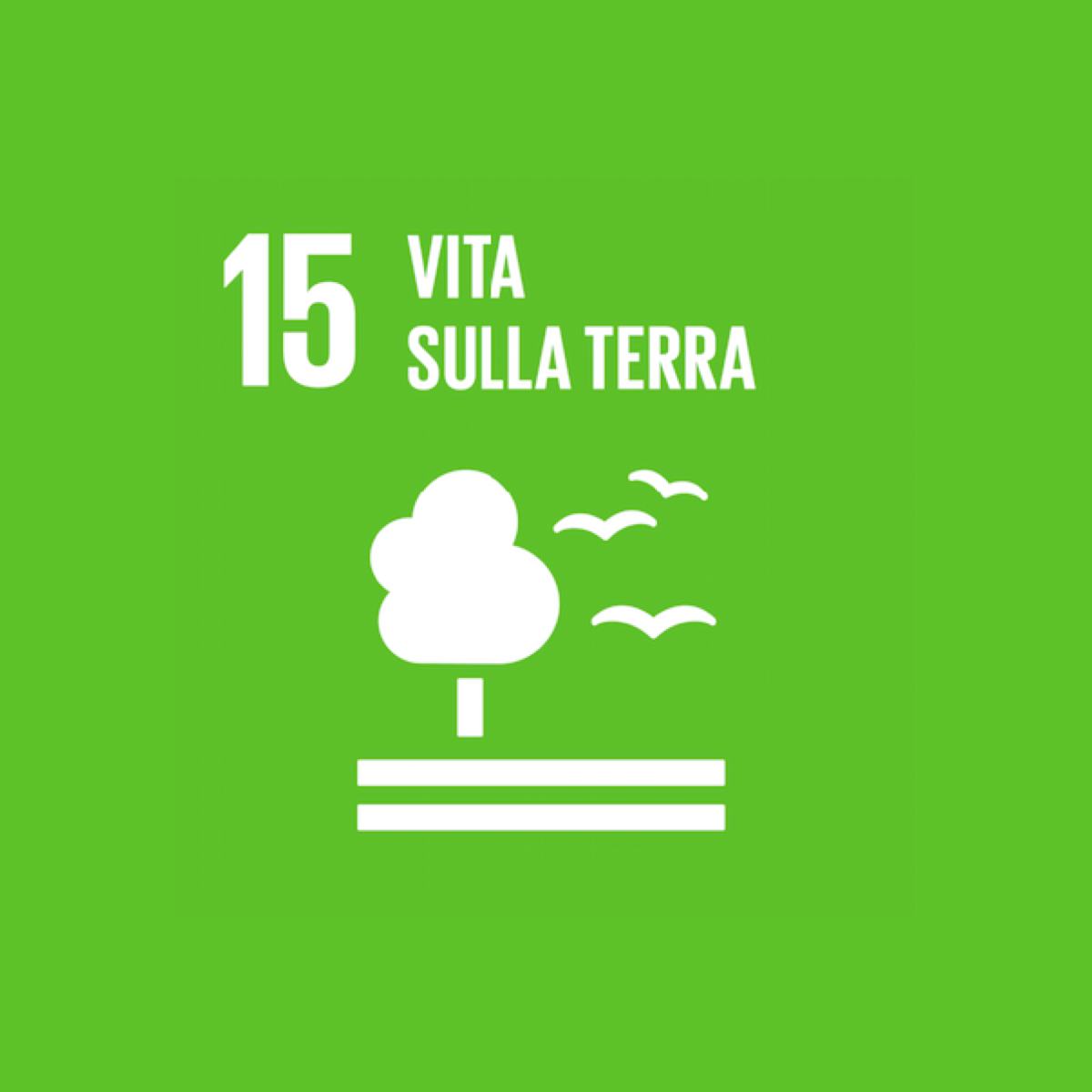 Goal 15