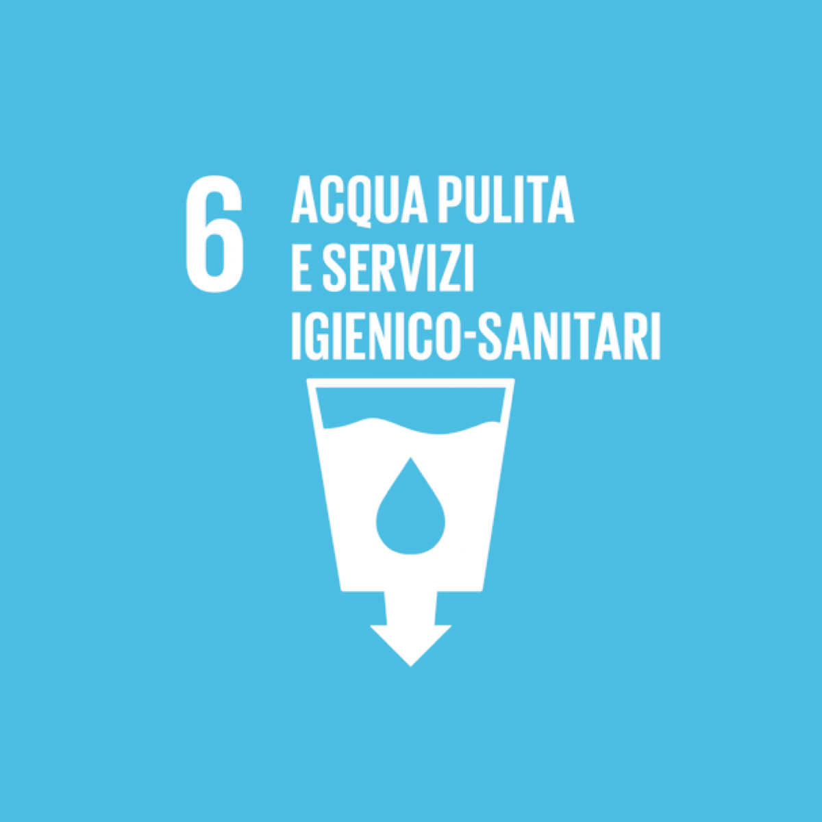 Goal 6