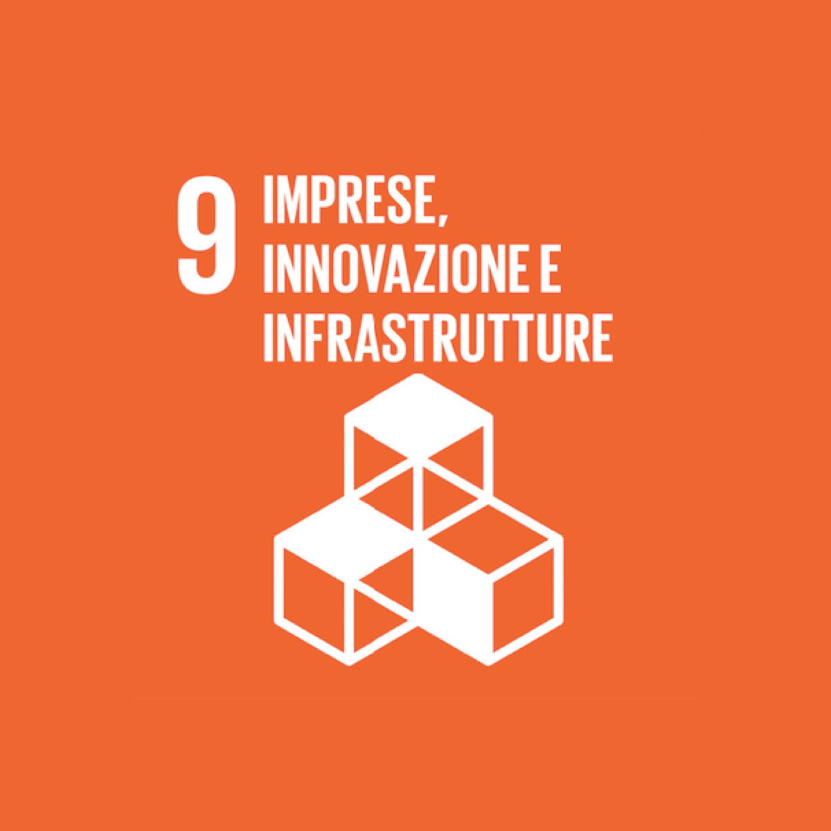 Goal 9